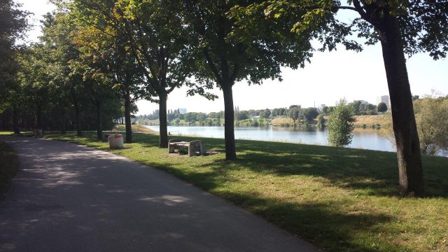 Radweg Donauinsel